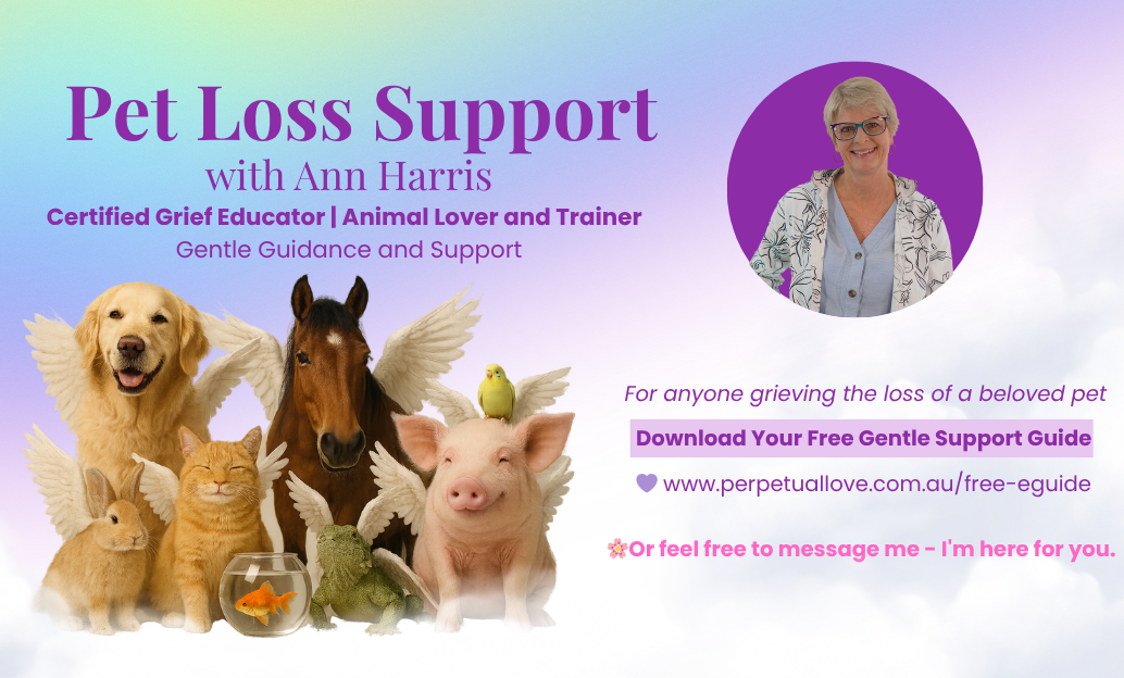 pet loss support facebook group