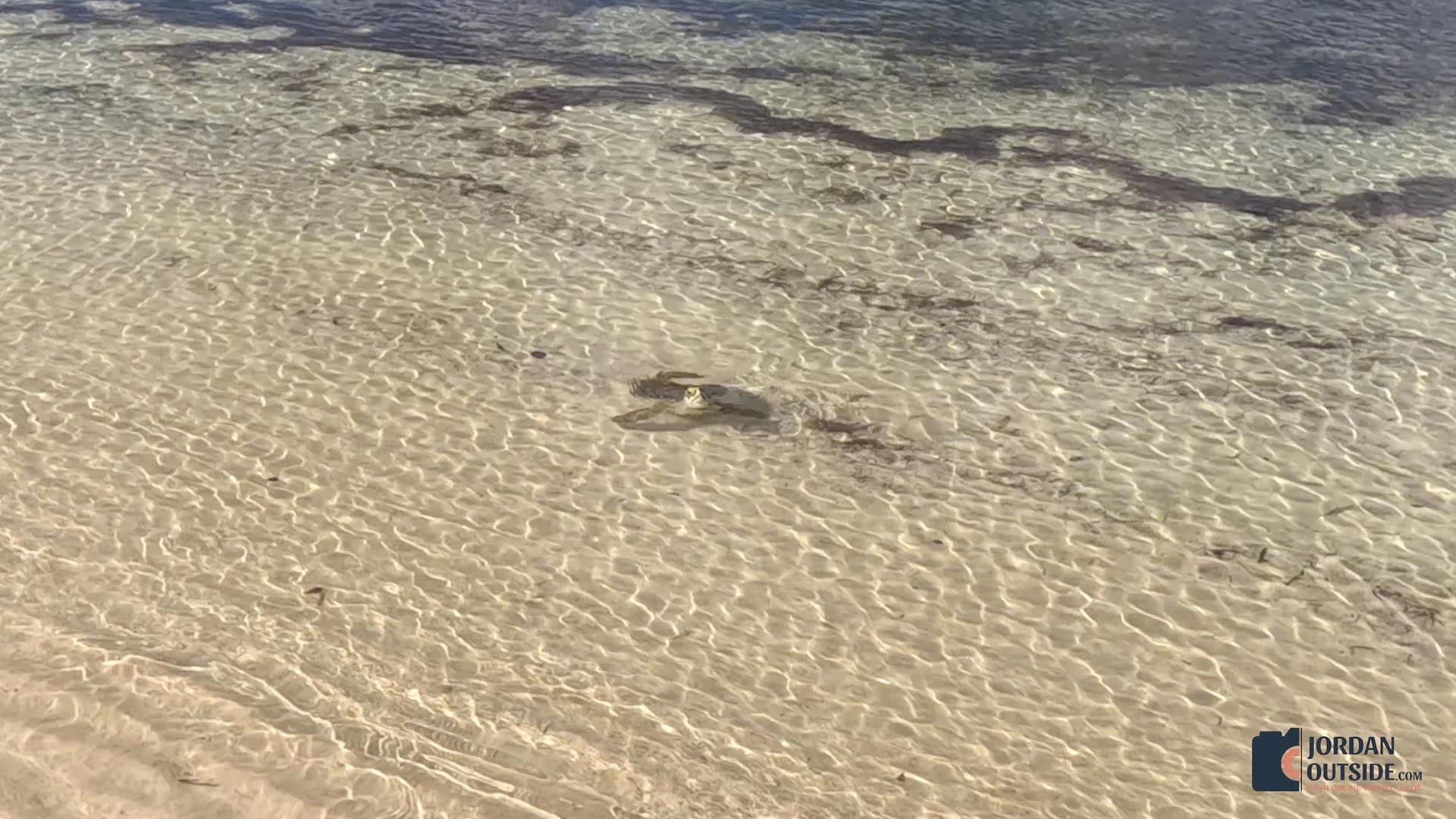 Roses Little Harbor and Beach, Long Island, Bahamas