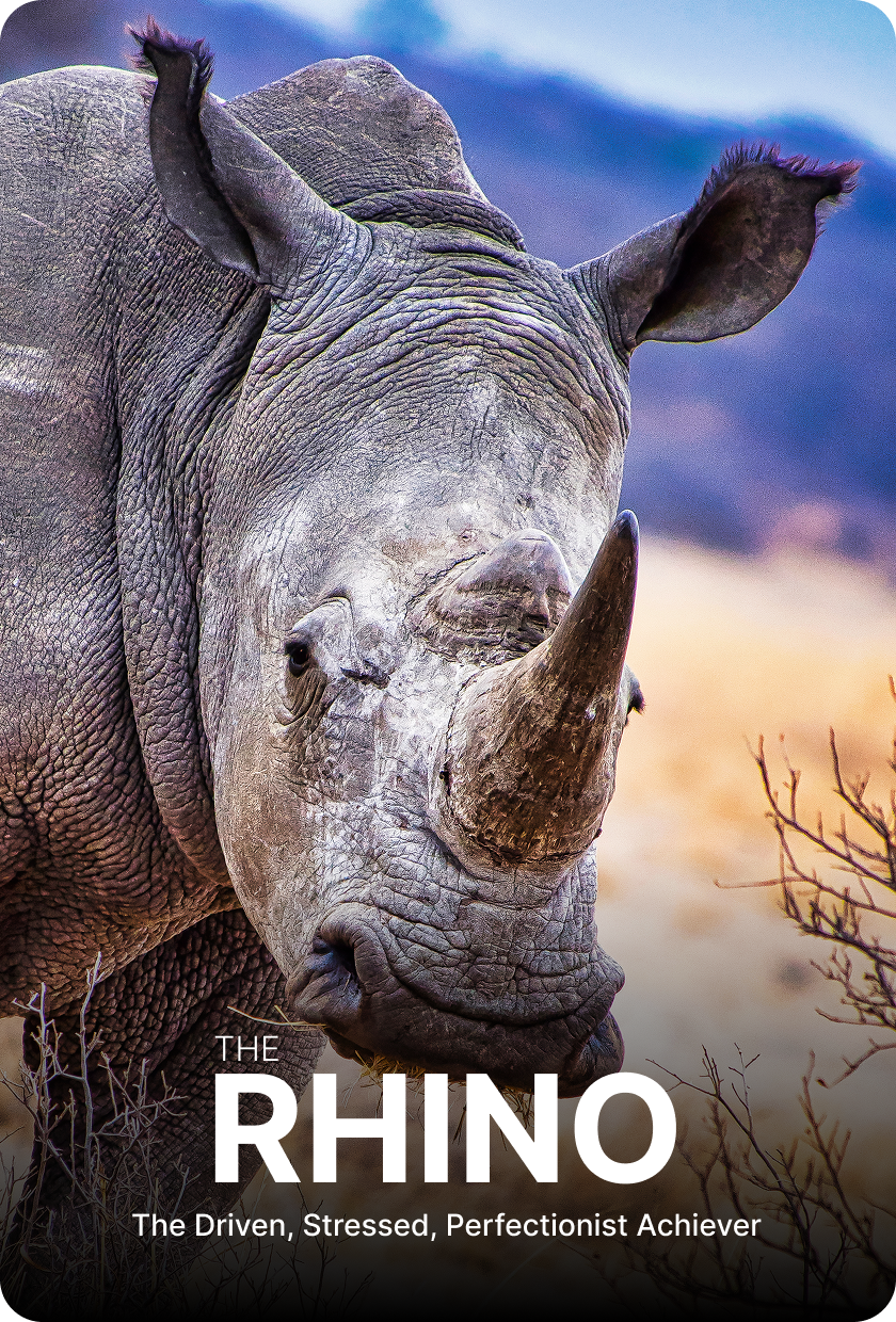 The Rhino
