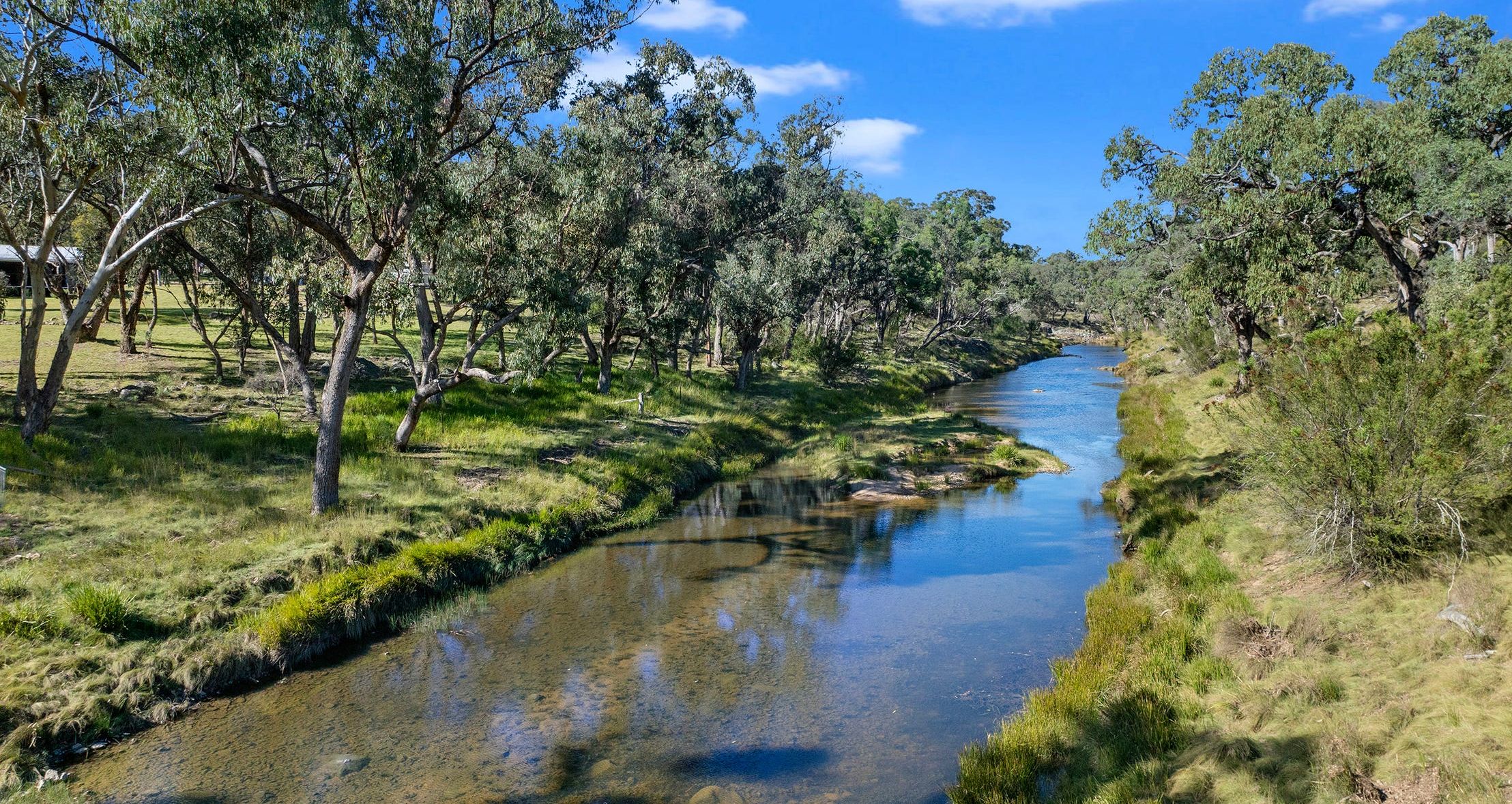 quiet creek flowing through bushland, space for rest and nervous system calm
