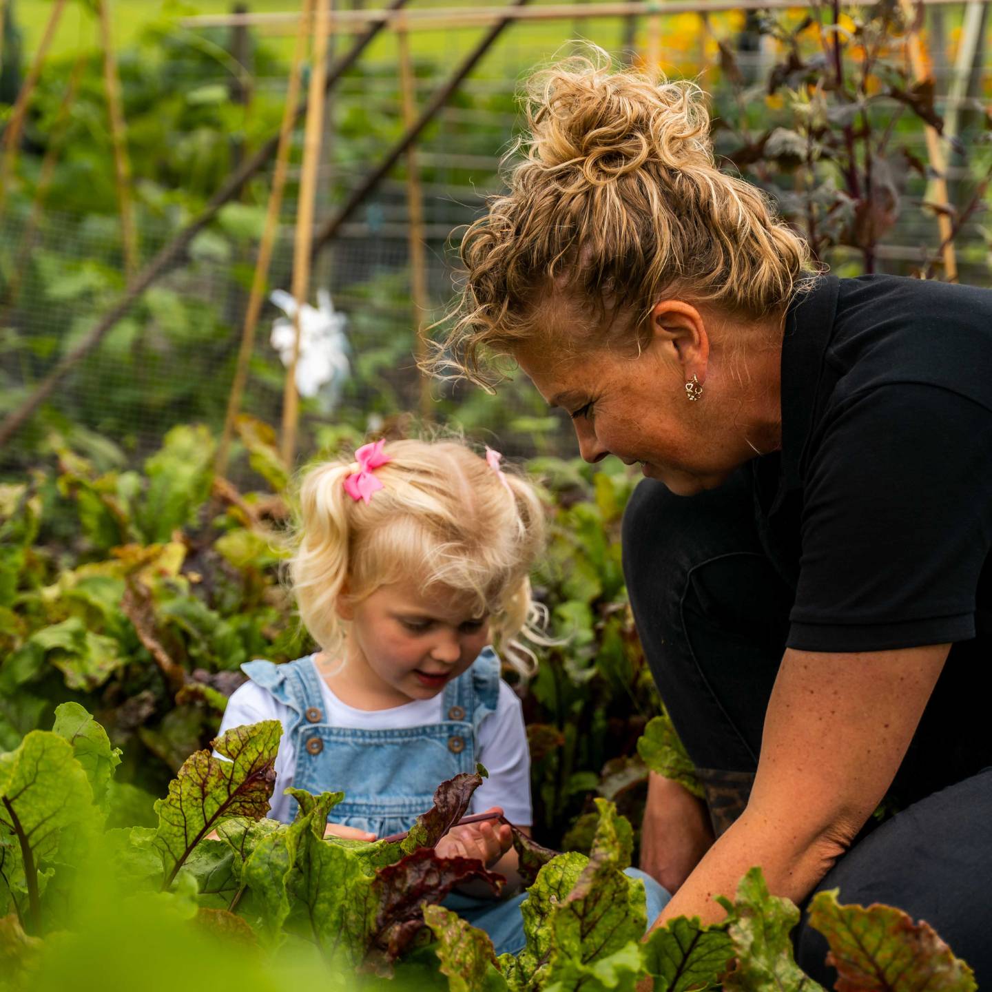 moestuincoach missie moestuin