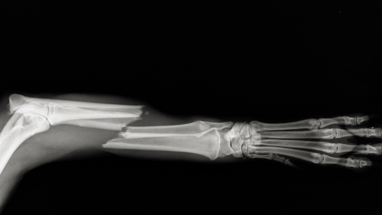 On Demand Veterinary CE