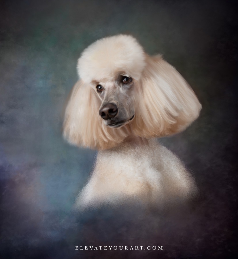 example picture number 2