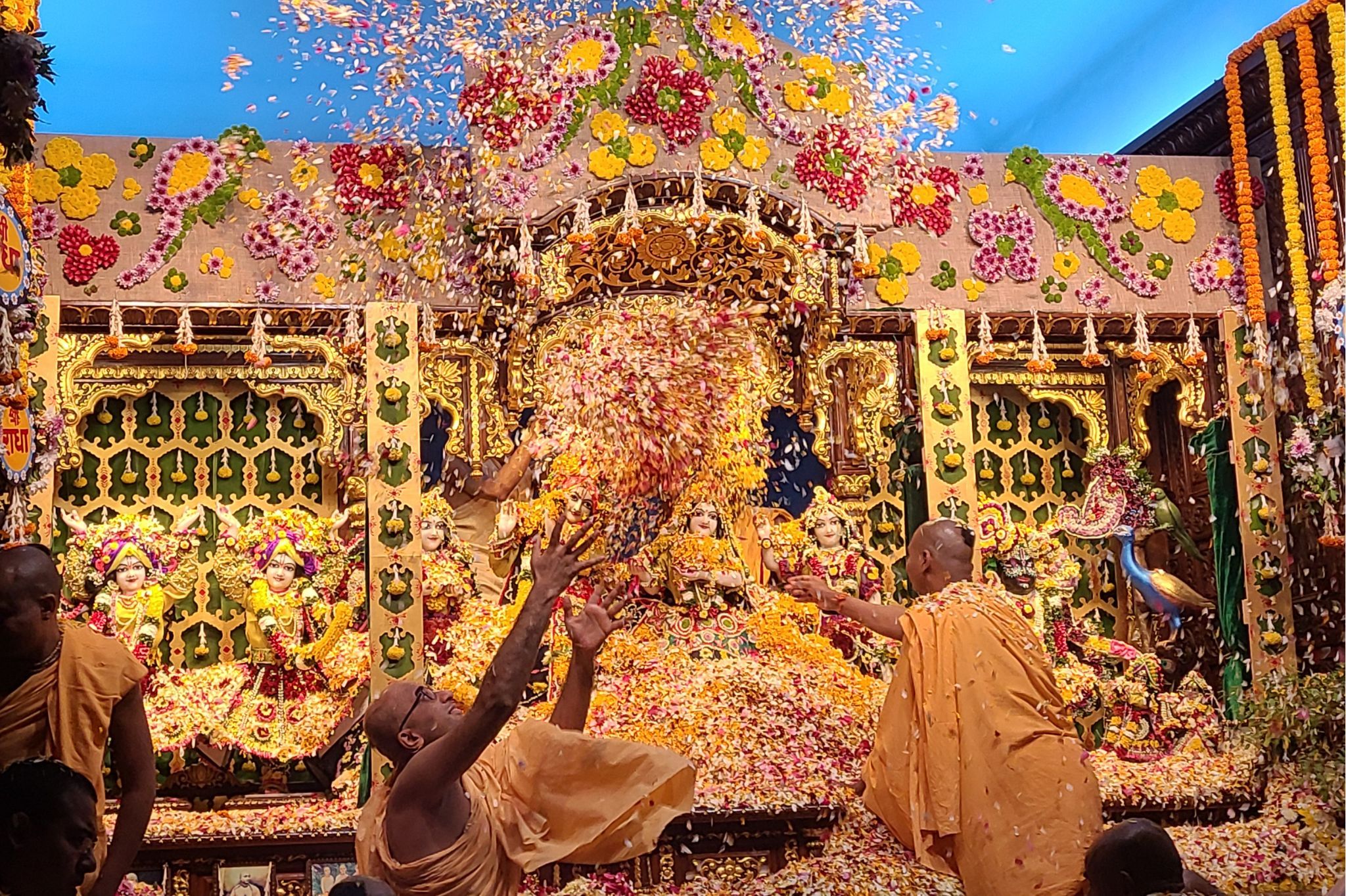 Flower petals shower the Radha and Krishna altar as devotees celebrate a traditional Vaishnava temple festival in India.