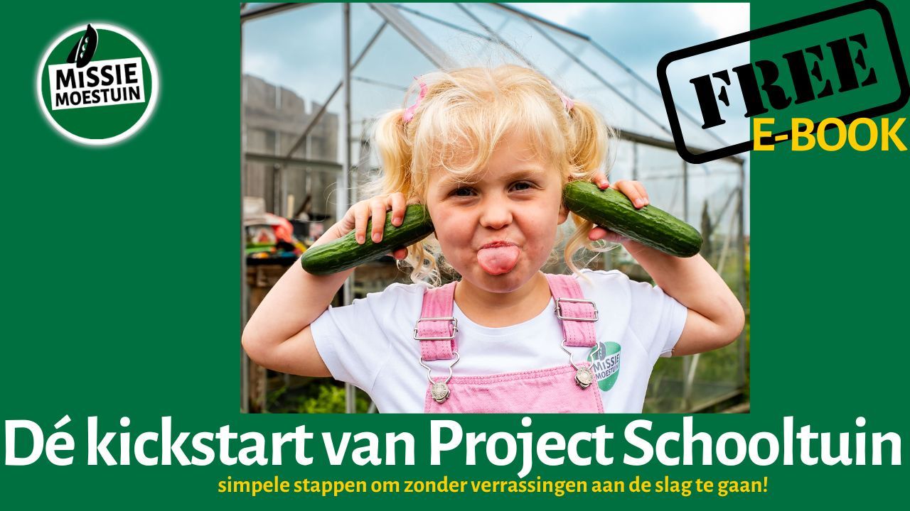 Opzet lesprogramma Project Schooltuin