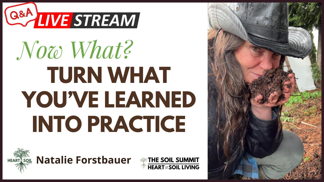 Now What? Turn What You've Learned into Practice