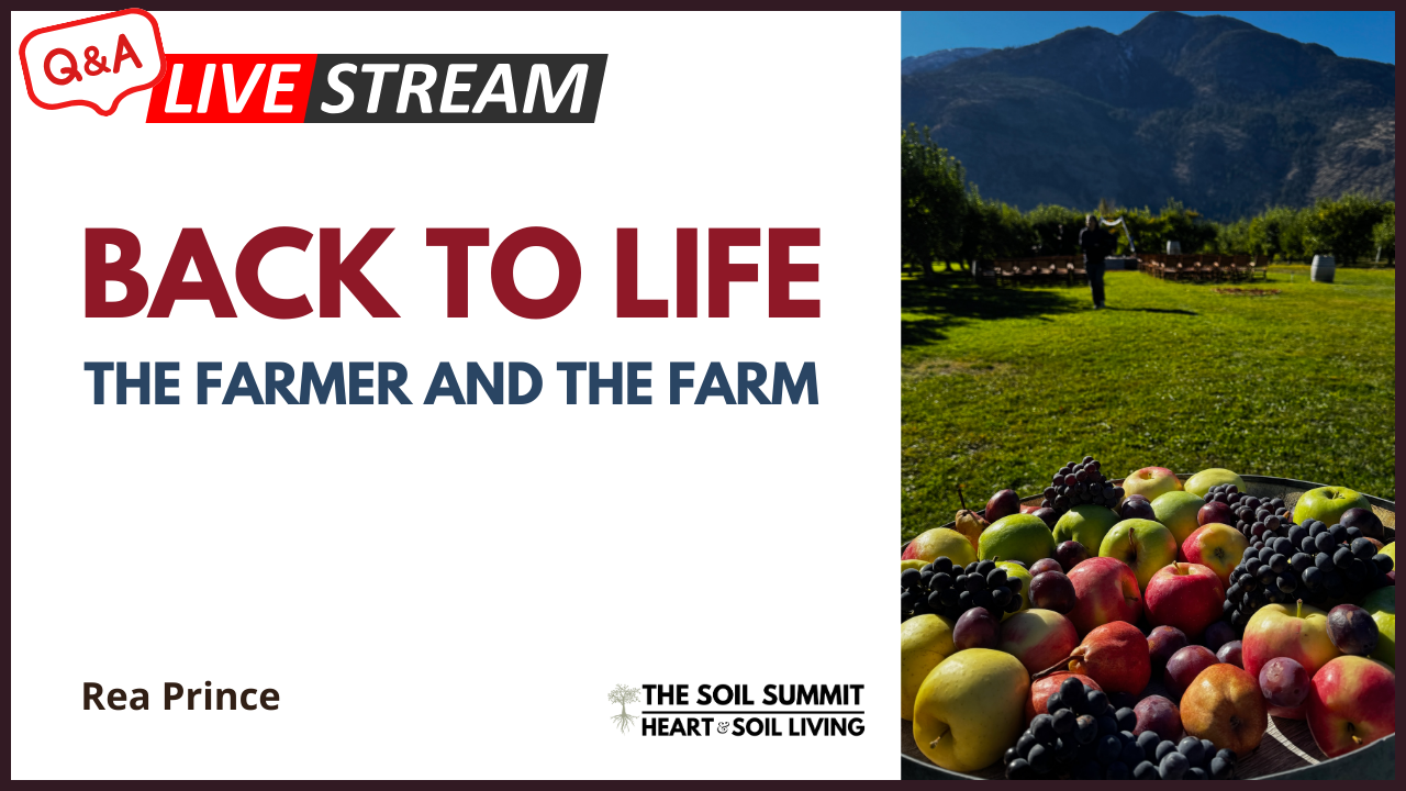 Back to Life The Farmer and the Farm, Rea Prince