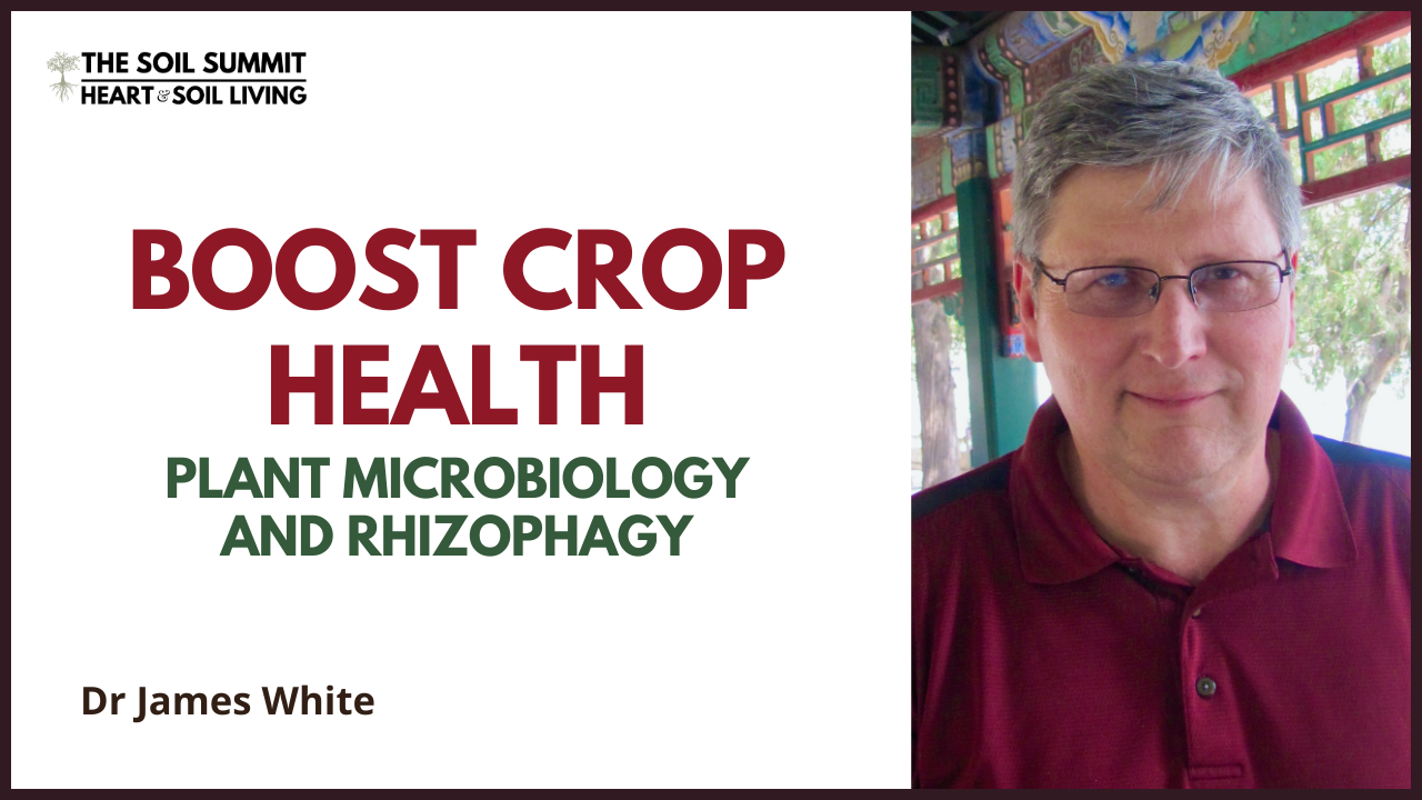Boost Crop Health: Plant Microbiology and Rhizophagy with Dr James White