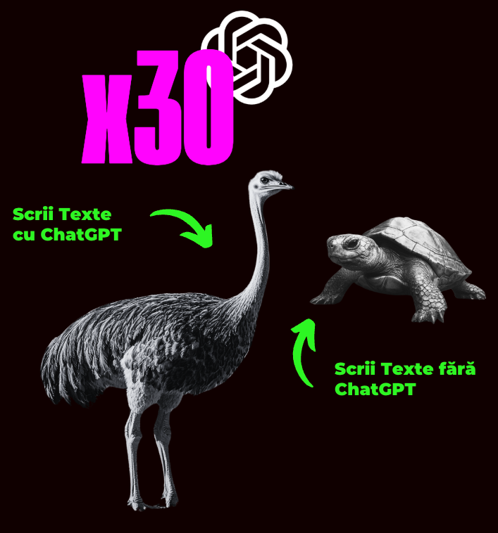 copywriting functional, texte eficiente