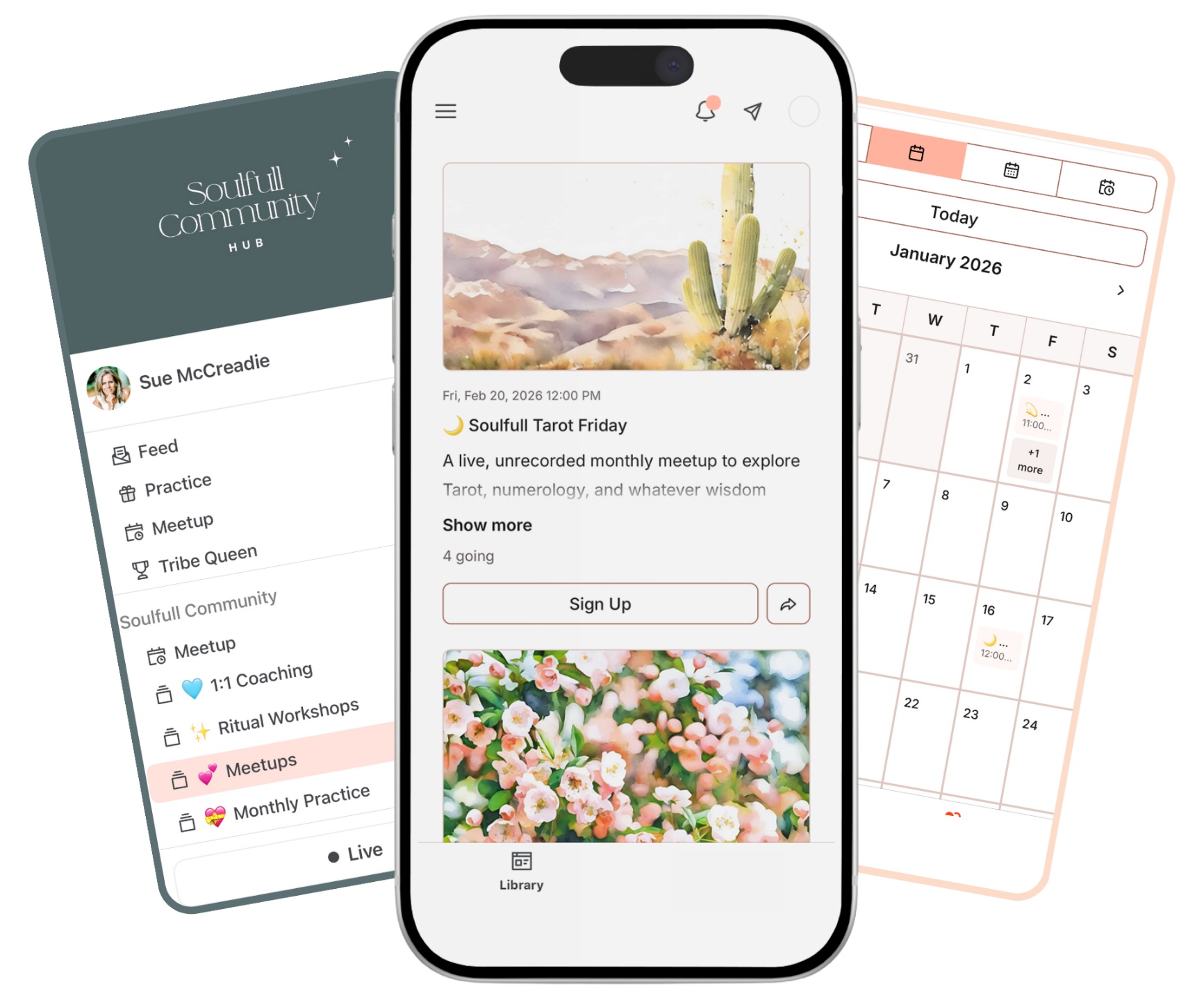 Graphic of The Soulfull Medicine App Community Area