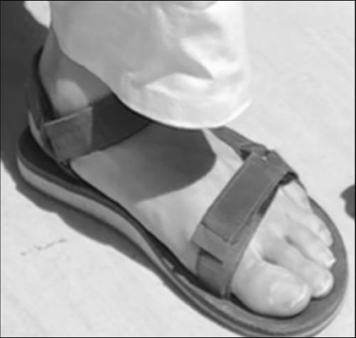 Grayscale version of kittens in a basket looking around.