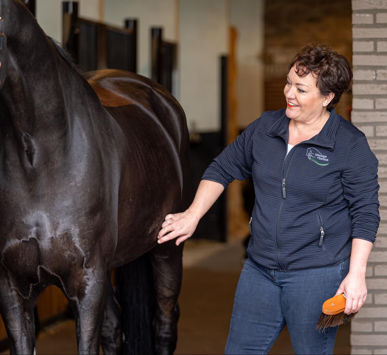 Paardenmassage licenties Massage HIppique