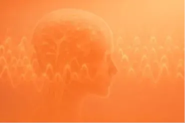 Ondes Gamma (30 à 100 Hz)