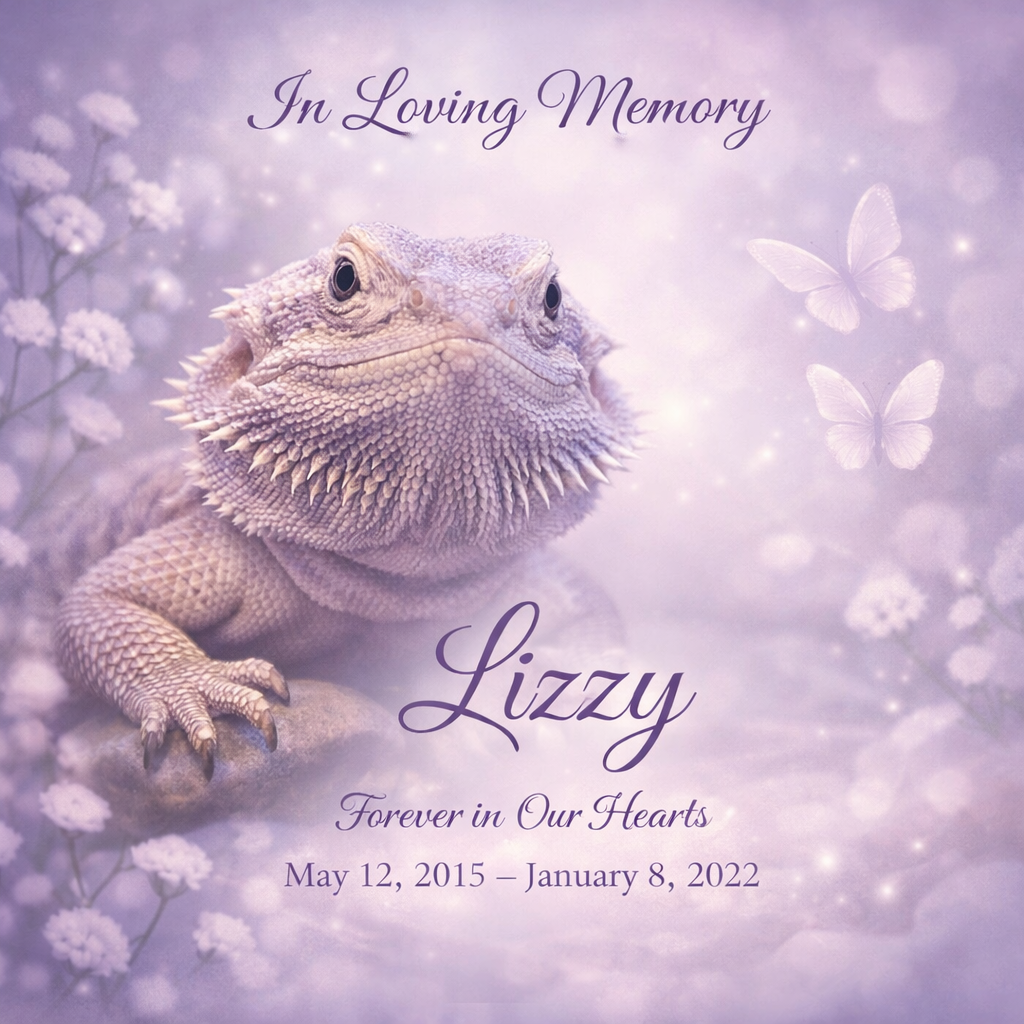 memorial tribute to a lizard