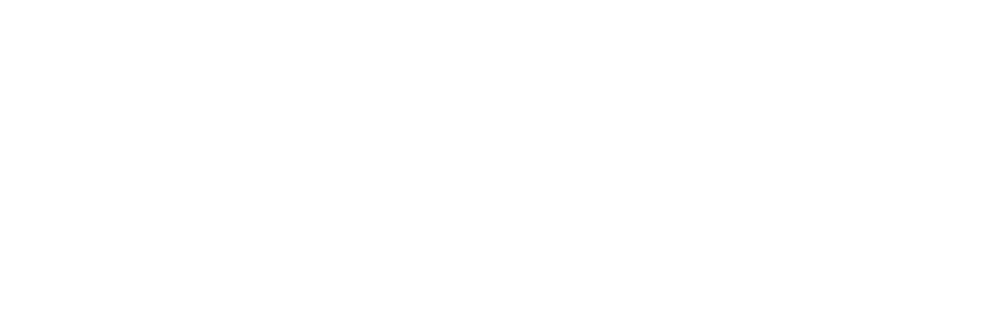 Clever AI Consult