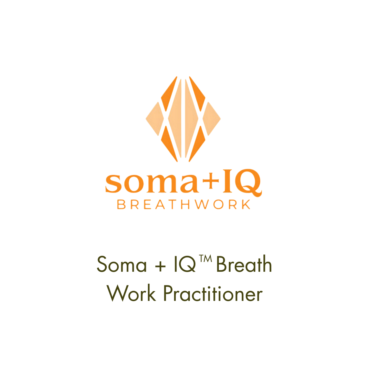 Soma+ IQ Breath Practicioner