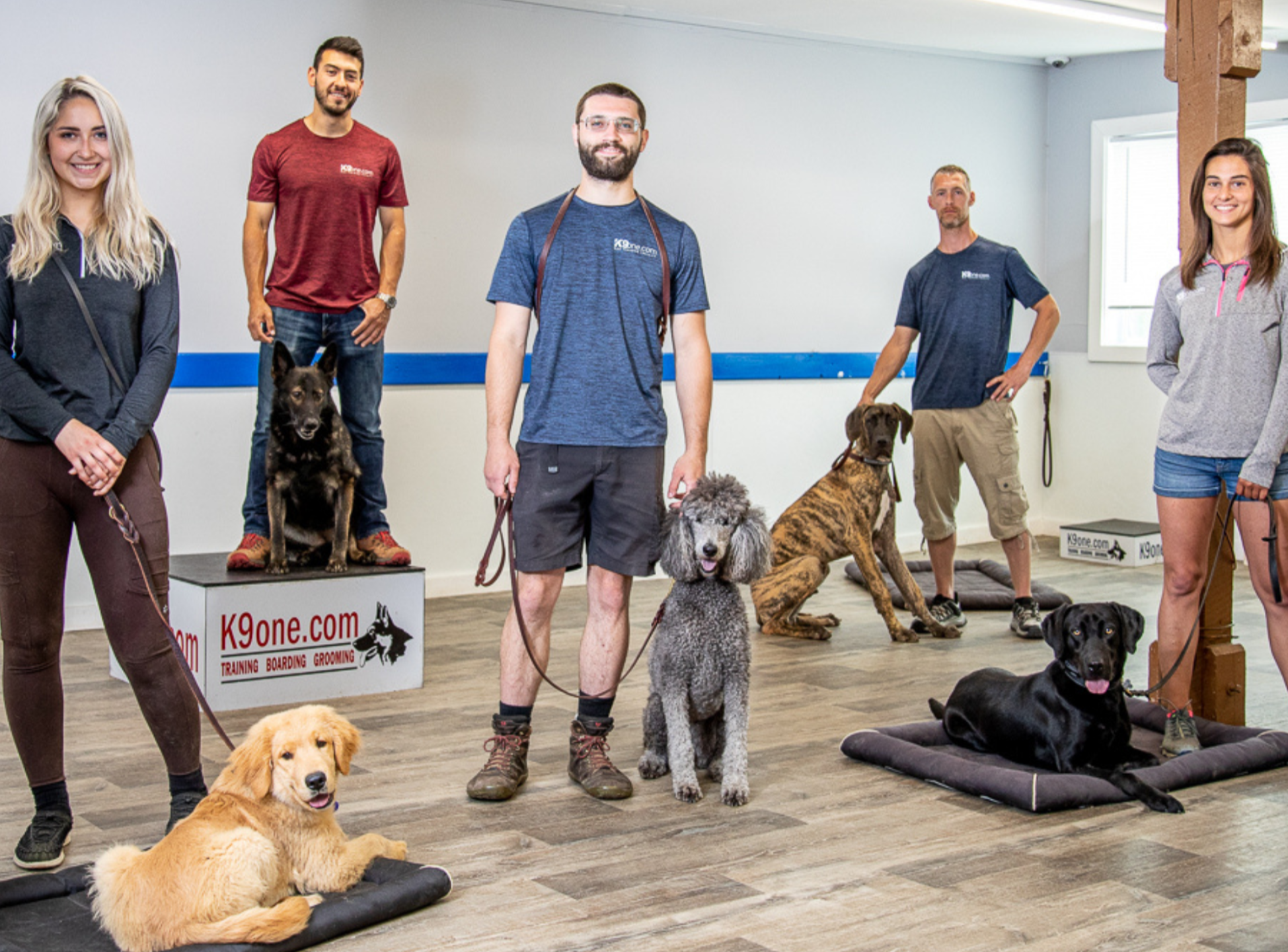 K9one dog trainers with dogs in sit and down