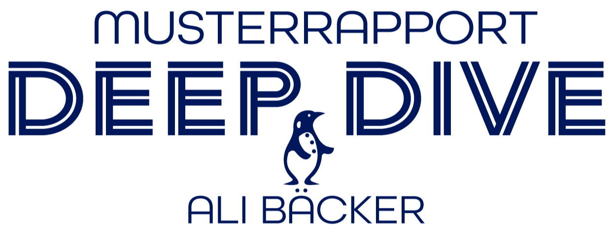 Der Musterrapport Deep Dive