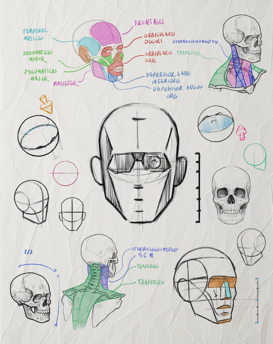 The face starts here.