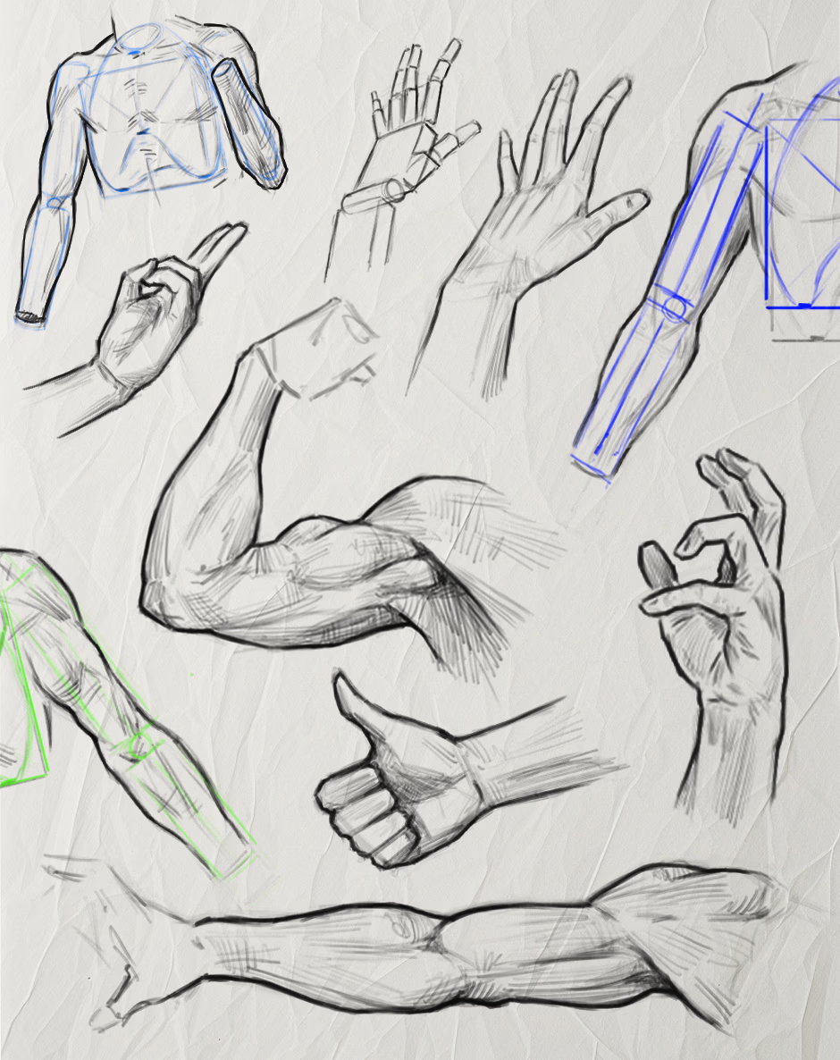 Arms and hands. No more avoiding them.