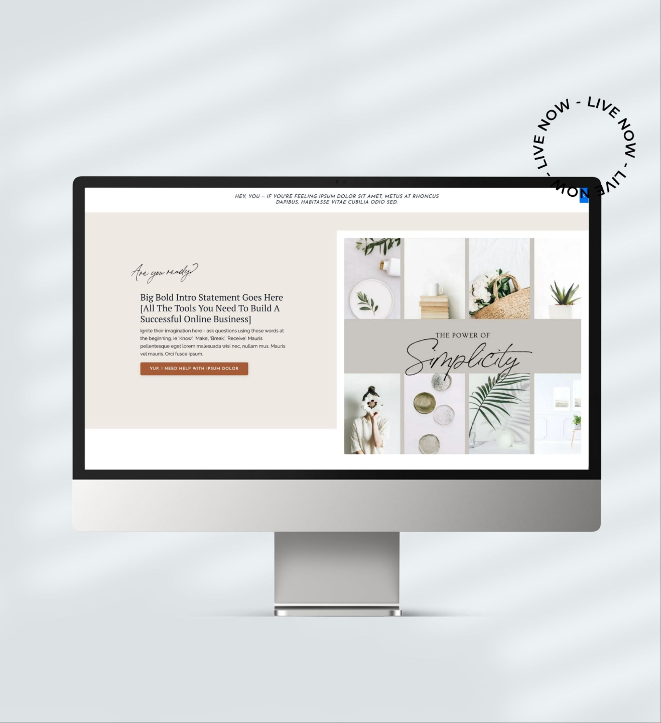 Kajabi Premium Template for a Sales Page - in neutral colors, Just Jenny style