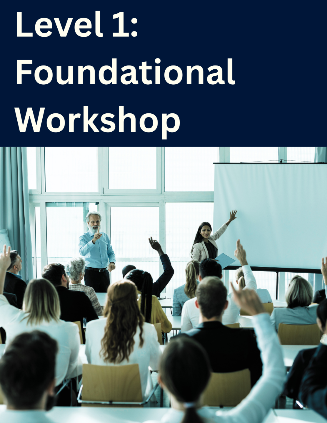 Foundational Workshop A Strategic Introduction to the Six Domains