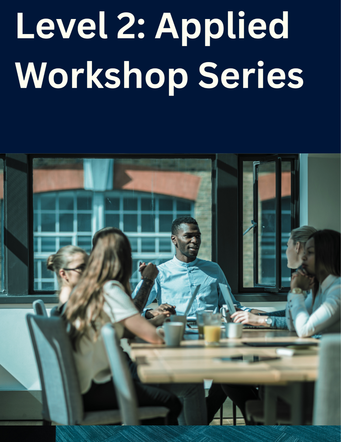Applied Workshop Series Building Capability Across Key Domains