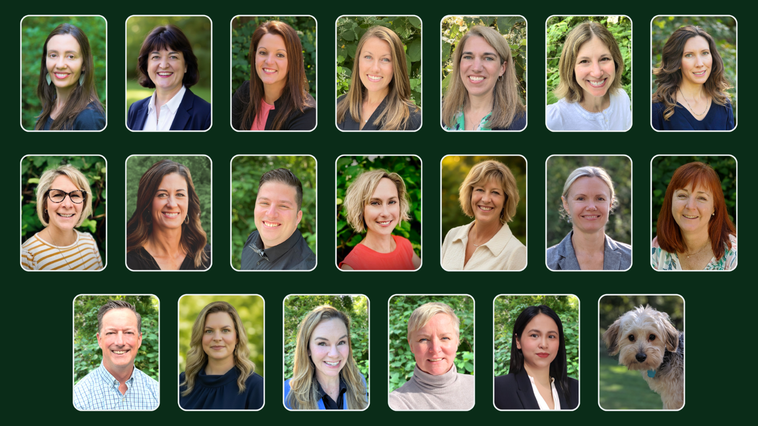 Arbor Health Functional Medicine and Psychiatry Rochester NY Team of Experts