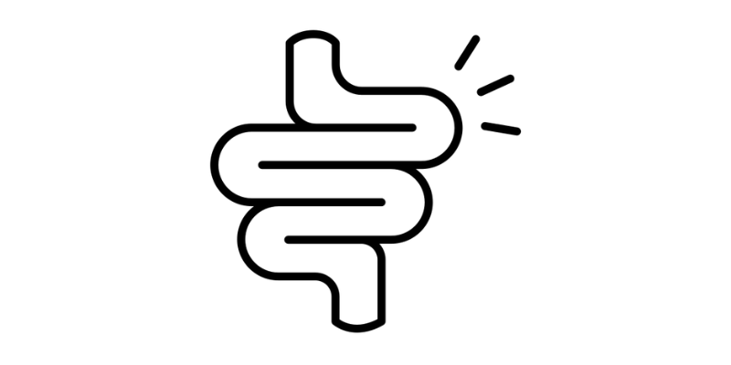 Functional medicine for digestive and immune health Rochester NY Arbor Health