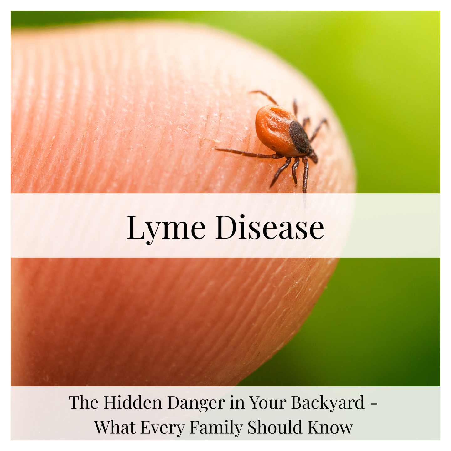Lyme disease treatment blog functional medicine Rochester NY Arbor Health
