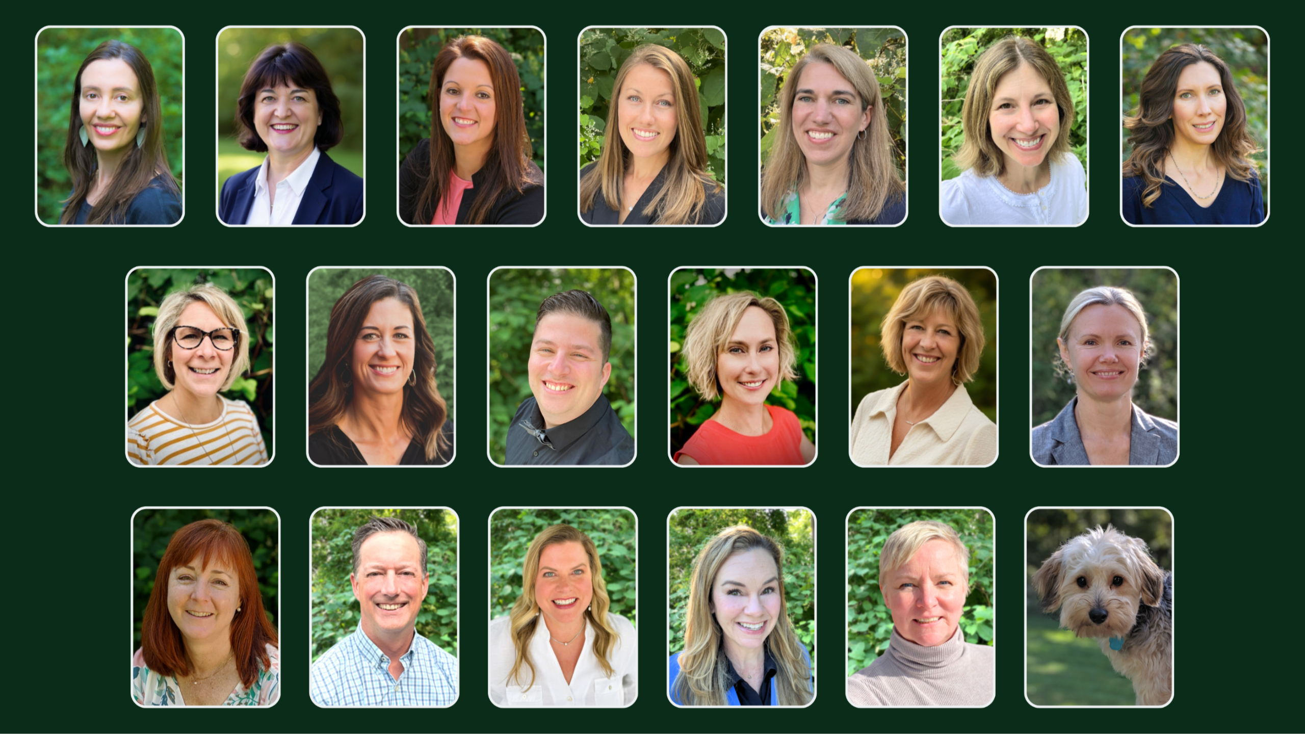 Arbor Health Functional Medicine and Psychiatry Rochester NY Team of Experts