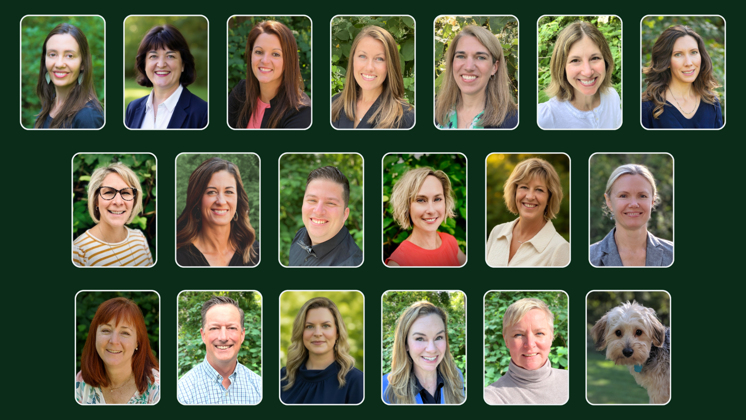 Arbor Health Functional Medicine and Psychiatry Rochester NY Team of Experts