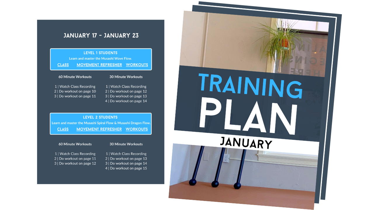 Training Plan