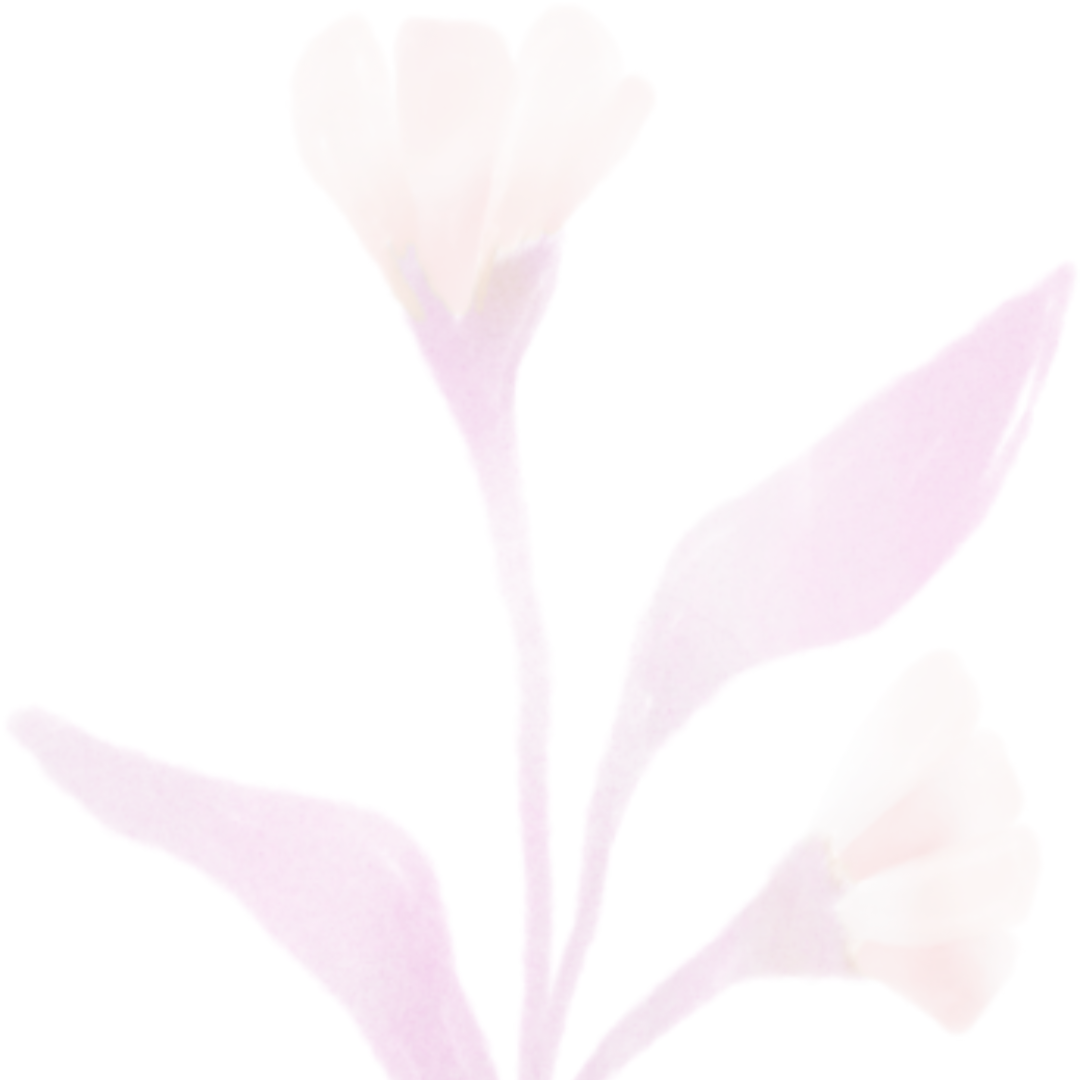 Clarity Coaching Program Amber Price Clarity Coach