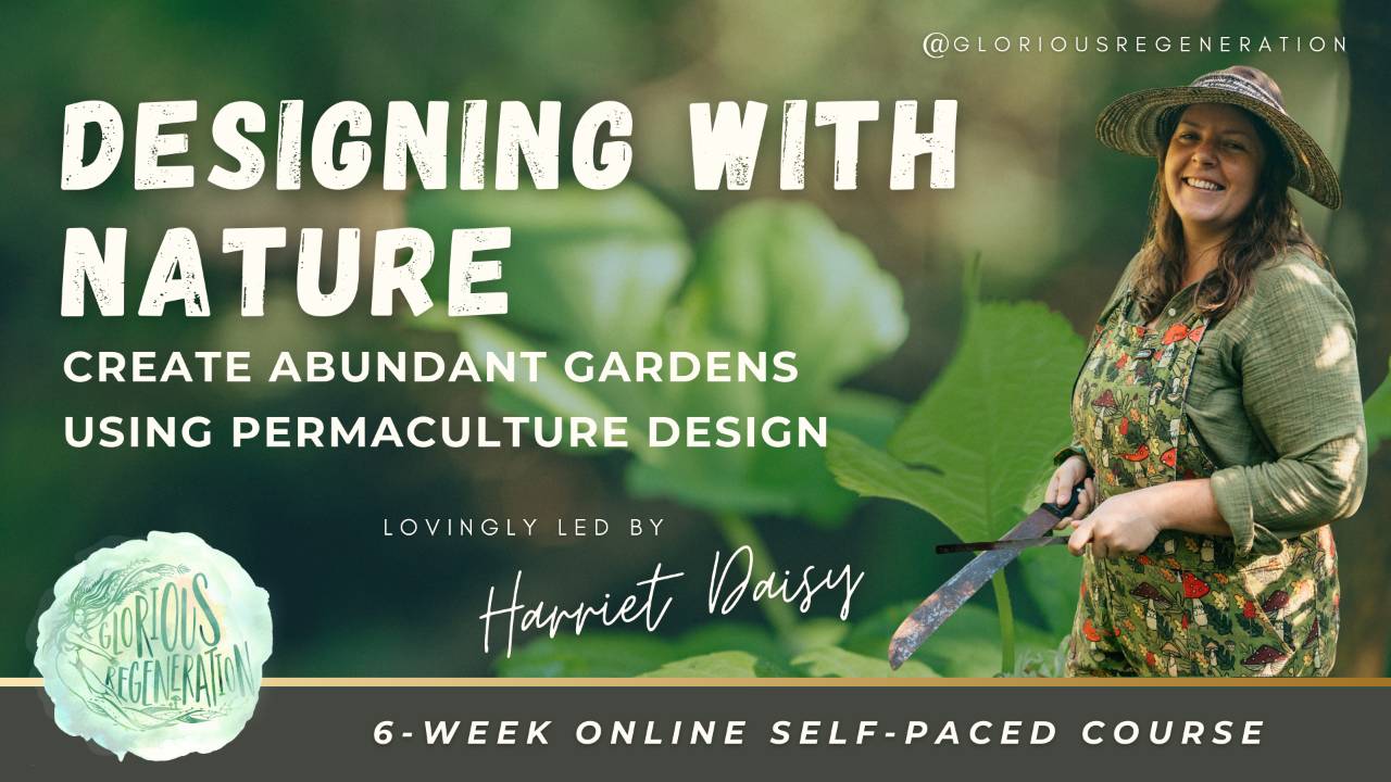 Growing Resilience Online Course