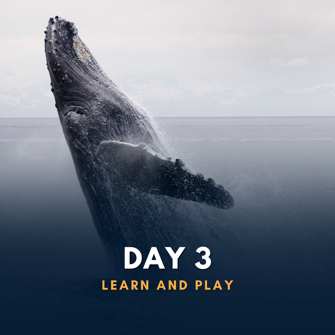 Financial Considerations and Options for Costa Rica Investors