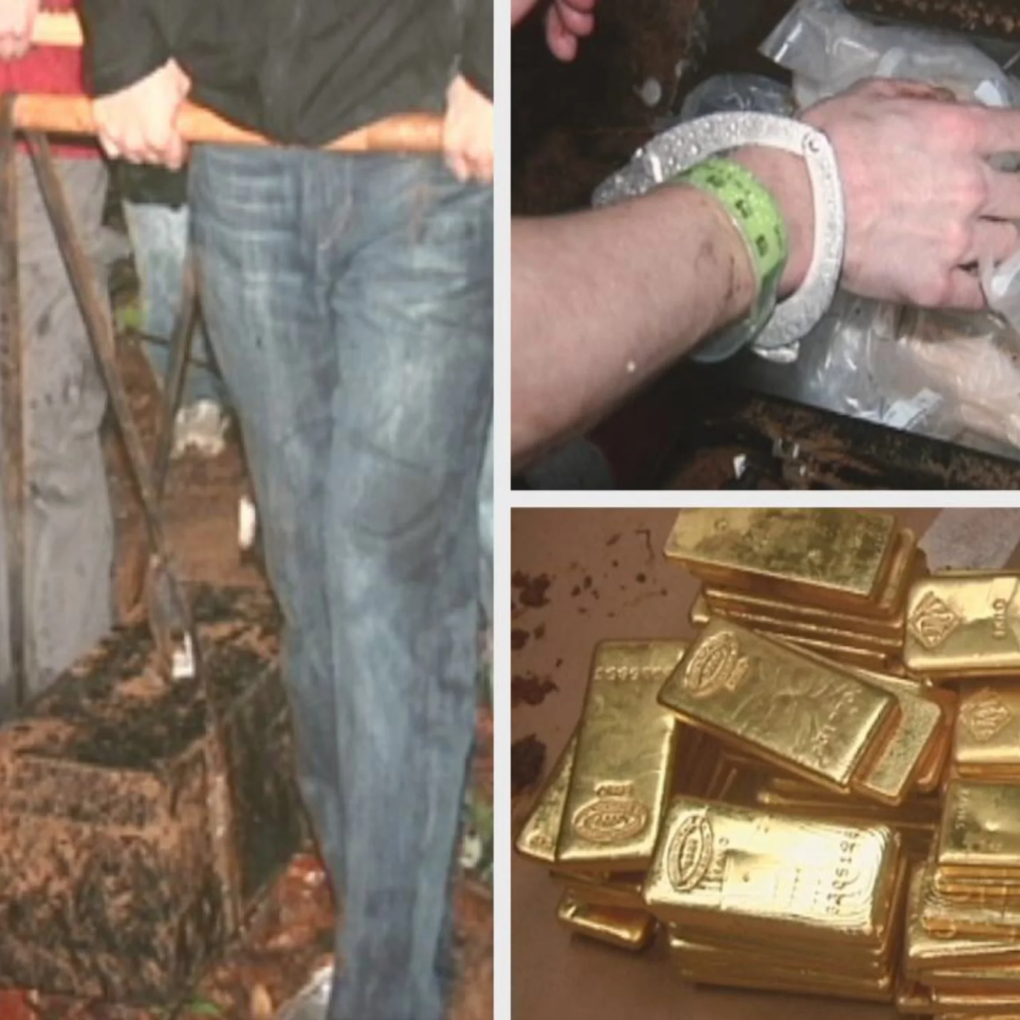 Eric Canori unearths kilogram bars of gold in forest