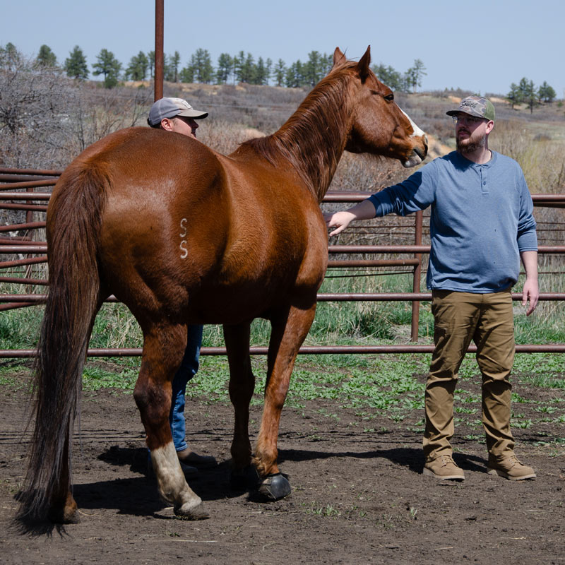 Man facing away, with arms spread open wide, looking over a canyon