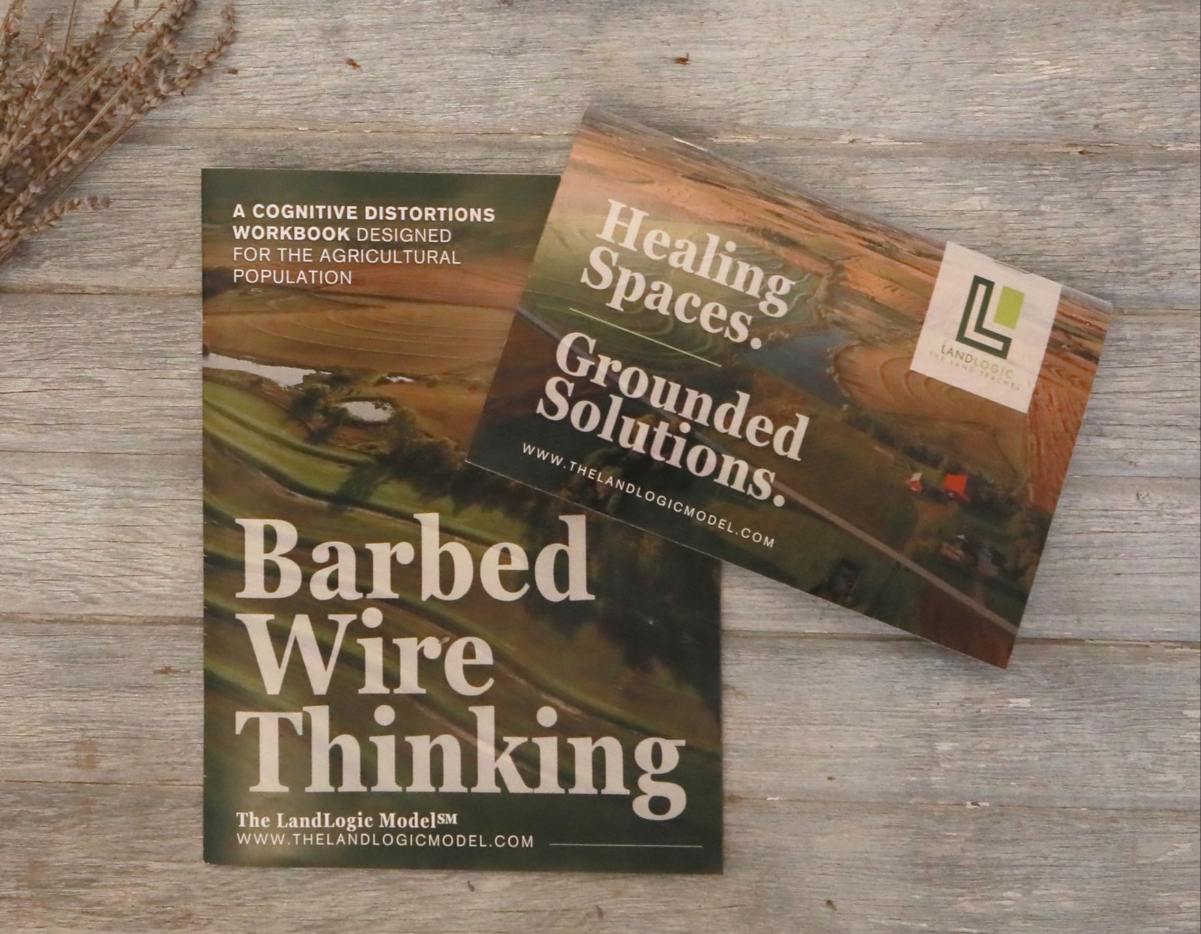 Barbed Wire Thinking Workbook And Flipchart