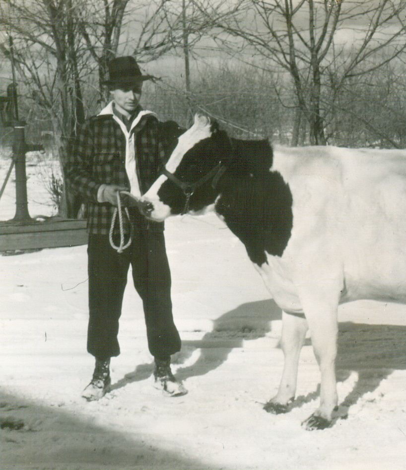 black and white photo of Man with cow