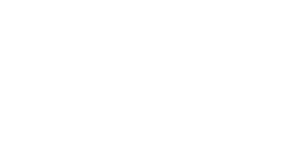 Primed Mind Logo