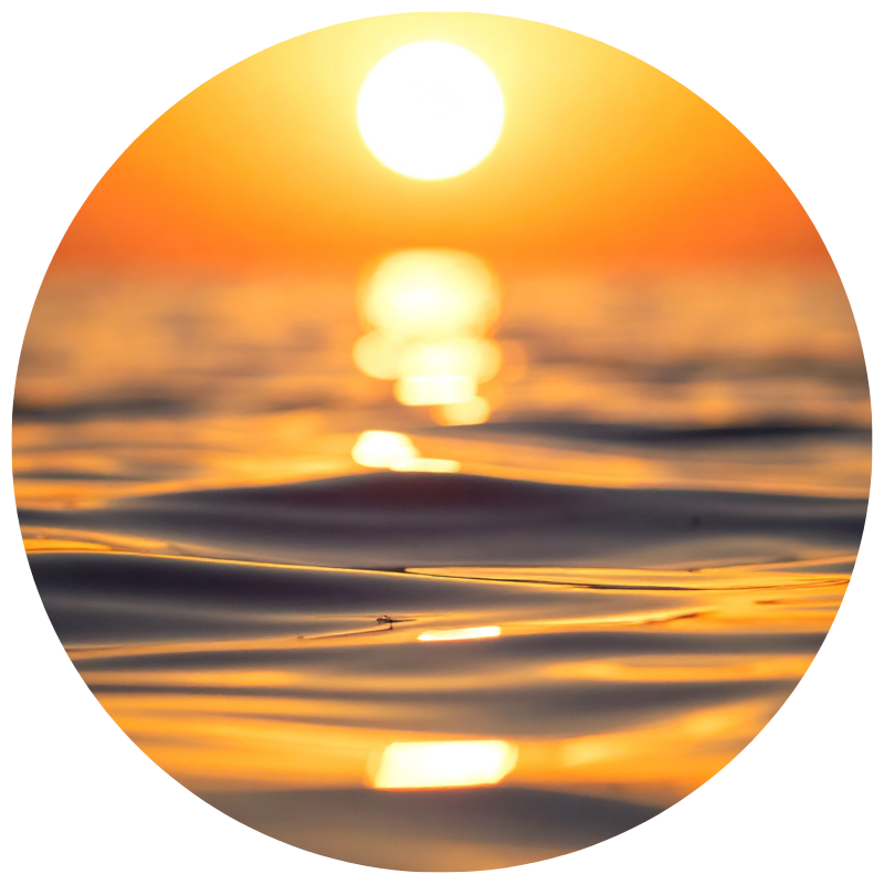 Sophisticated and artistic clinical imagery representing the nuanced, relational mastery of advanced EMDR therapy.