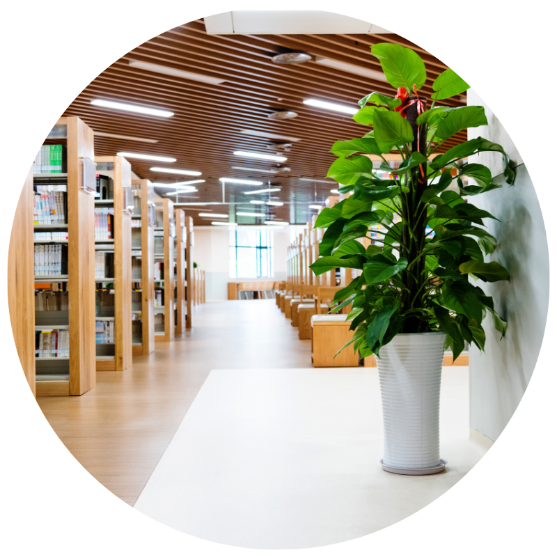 EMDR therapist resources and clinical worksheets.