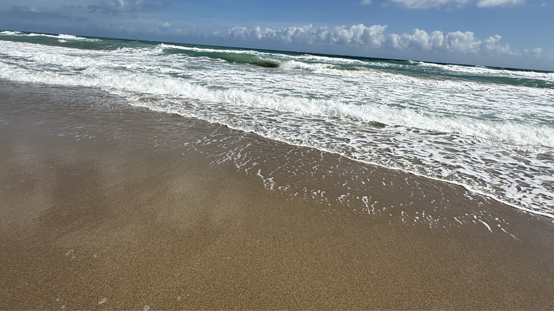 EMDR Consultation Mentorship metaphor for clinical intuition: a person's shadow on a shoreline where protocol meets deep trauma work.