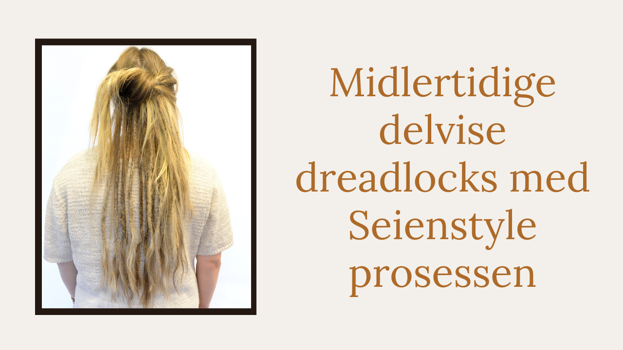Temporära partial dreadlocks med Seienstyle processen Oslo Norge