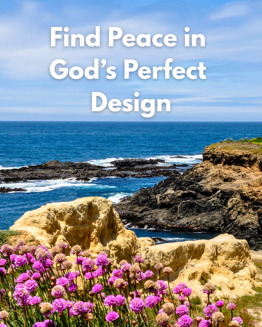 Peaceful view of Big Sur coastline with vibrant wildflowers, symbolizing God’s protective design and calming presence.