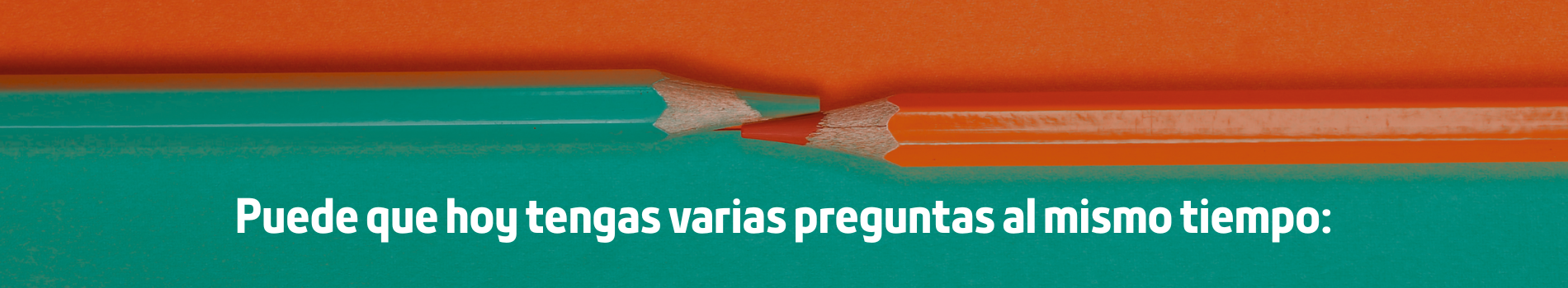 pregunta
