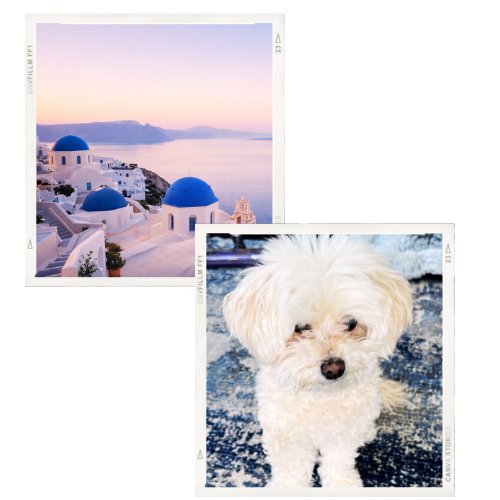 Synergies Coach Debbi Mahilum More ABOUT me - My FAVES