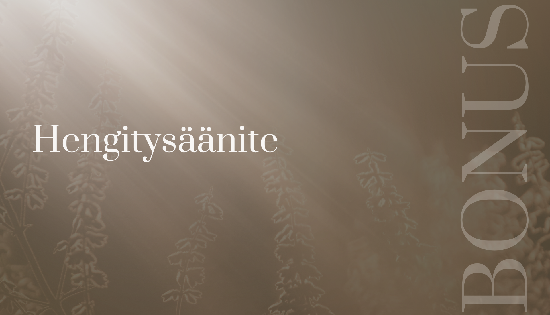 parisuhde verkkokurssin bonuksen kansigrafiikka