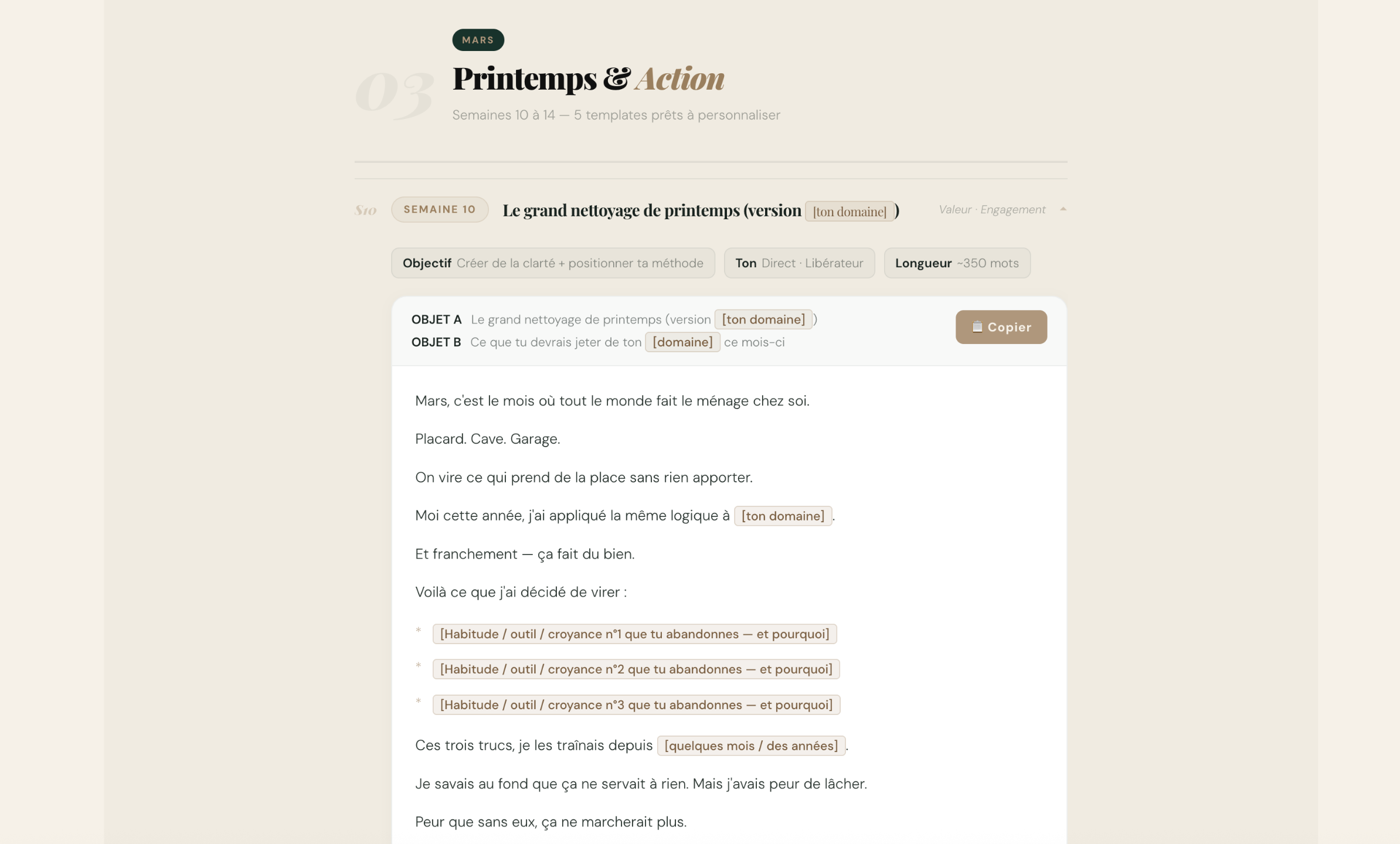 Templates newsletter MVS